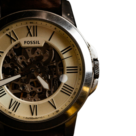 Fossil Chrome - Image 2